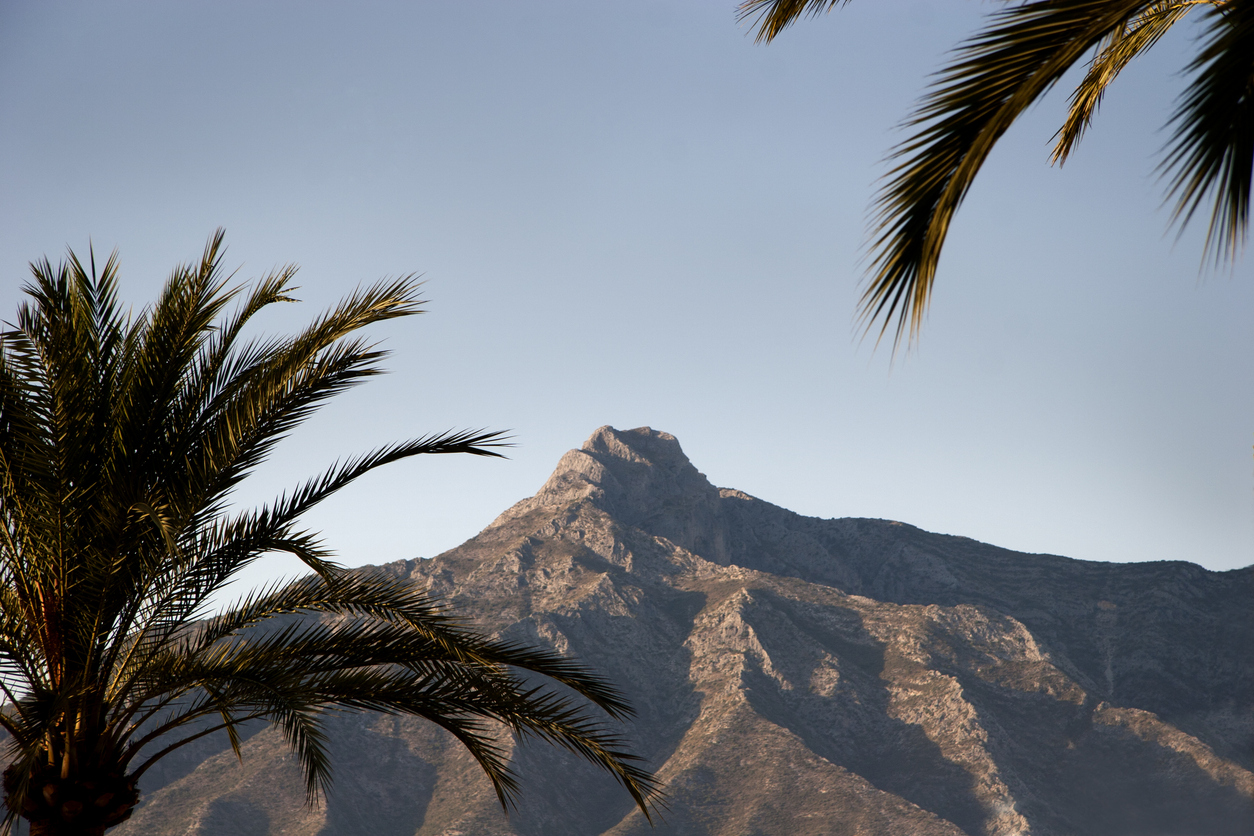 View of La Concha mountain framed by palm fronds under a soft Marbella sky